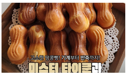 창업정보 체인점/대리점